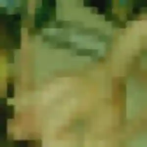 Bernadette, 32 ans, cherche un plan cul à Bellegarde-Marsal