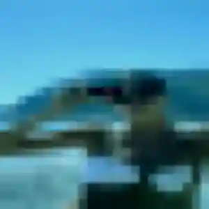 Catherine, fille de 26 ans cherche plan cul à Bellegarde-Marsal