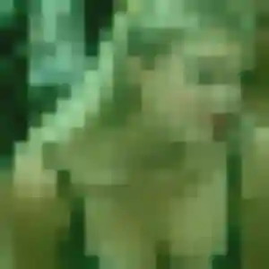 Charmante Jeannine, 28 ans à Bellou-en-Houlme - la contacter