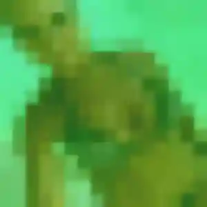 Rejoins Lilou, 31 ans à Bellou-en-Houlme en privé