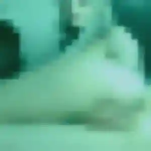 Photo perso de Ninon, 27 ans à Belvèze-du-Razès - rencontre coquine