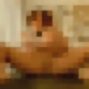 Photo exclusive de Sixtine, 27 ans à Bénaménil - rencontre coquine