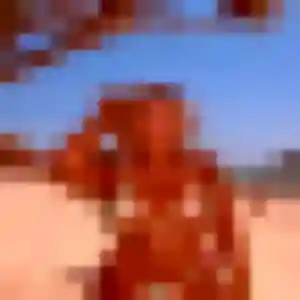 Jolie Elsa, 31 ans à Bernay-Neuvy-en-Champagne - découvrir son profil