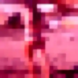 Photo sexy de Lise, 30 ans à Bernay-Neuvy-en-Champagne - rencontre coquine