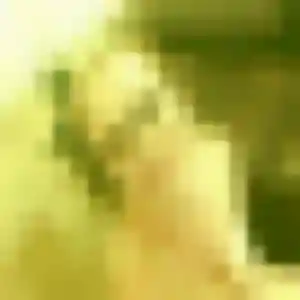 Photo de Salome à Bernolsheim (39 ans) - plan cul sans inscription