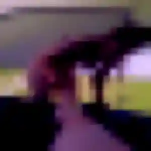 Photo perso de Gwenaelle, 43 ans à Bersac-sur-Rivalier - rencontre coquine