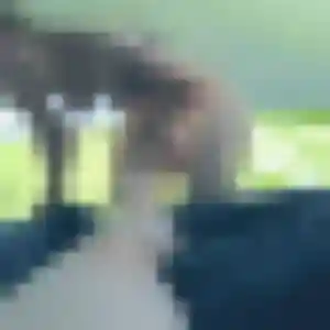 Charmante Solene, 43 ans à Beuzec-Cap-Sizun - la contacter