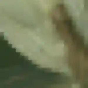 Blanche de Beuzevillette, 35 ans - plan cul sans prise de tête