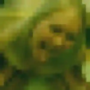 Delphine, 34 ans, dispo pour plan cul à Bidart