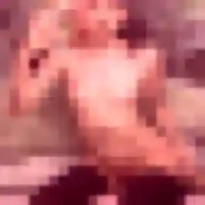 plan cul à Bierné-les-Villages : profil de Alix, 41 ans - accès libre