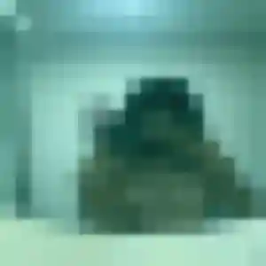 Découvre Louna, 28 ans à Bièvres en t'inscrivant