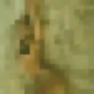 Sandrine, 25 ans, en ligne à Biscarrosse pour une rencontre coquine