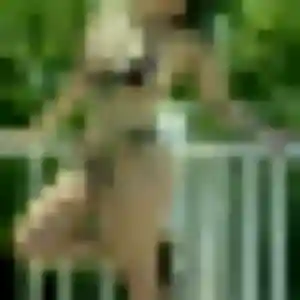 Fanny, 36 ans, cherche un plan cul à Blaringhem