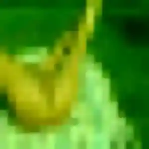 Photo perso de Suzanne, 30 ans à Blénod-lès-Pont-à-Mousson - rencontre coquine