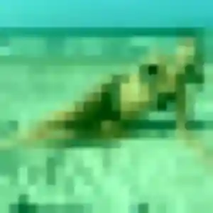 Andree, 25 ans, dispo pour plan cul à Boëseghem