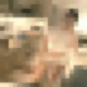 Photo sexy de Djamila, 29 ans à Boëseghem - rencontre sans lendemain