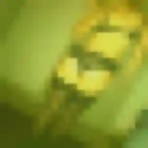 Photo de Heloise à Boffres (23 ans) - plan cul anonyme