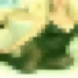 Suzanne, fille de 33 ans veut plan cul à Bogny-sur-Meuse