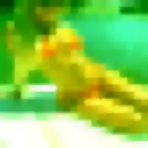 Rencontre Louise, 28 ans à Bohas-Meyriat-Rignat en privé