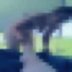 Luna (24 ans) à Boigny-sur-Bionne propose un plan cul ce soir