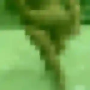 Photo de Marie-Claire à Boigny-sur-Bionne (34 ans) - plan cul gratuit