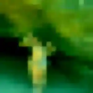 Photo perso de Sabrina, 39 ans à Boisseron - rencontre sans lendemain