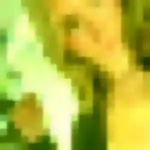 Photo perso de Lilas, 28 ans à Bompas - plan discret