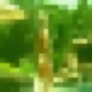 Irina, 38 ans, connectée à Bonnières-sur-Seine pour une rencontre coquine