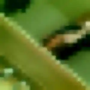 Sexy Romane, 44 ans à Boofzheim - la contacter