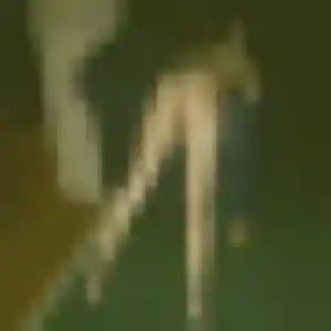 Lilas, 27 ans, connectée à Bordeaux pour un plan cul