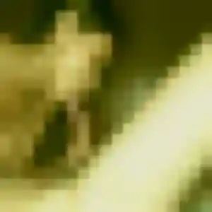 Fanny, 41 ans, cherche un plan cul à Bosc-le-Hard
