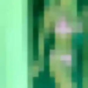 Jolie Josephine, 32 ans à Bosville - voir sa photo