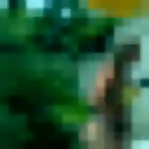 Tania, femme de 44 ans cherche plan cul à Bouillac