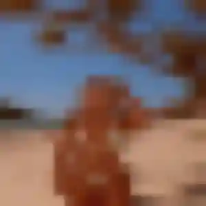 Photo privée de Severine, 32 ans à Boulazac Isle Manoire - rencontre coquine