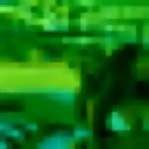 Photo perso de Sonia, 43 ans à Bours - plan discret