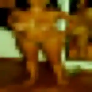 Rencontre Anne, 39 ans à Boynes en privé