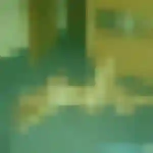 Katia (37 ans) à Brécé propose une rencontre maintenant