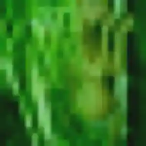 Photo exclusive de Henriette, 28 ans à Brégnier-Cordon - plan discret