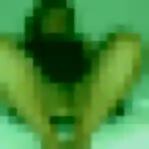 Photo perso de Jeannette, 24 ans à Bretignolles - rencontre coquine