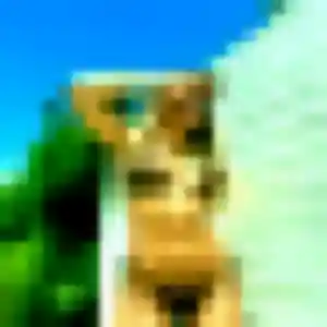 Profil de Bertille à Bretteville-du-Grand-Caux (37 ans) - plan cul discret