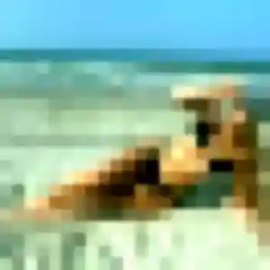 Photo privée de Irina, 22 ans à Brie - rencontre coquine