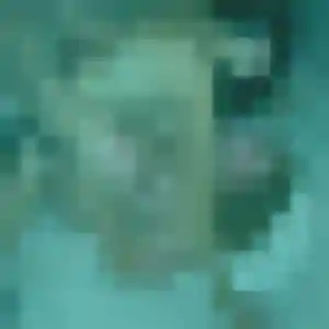 Profil de Veronique à Bruges (27 ans) - plan cul anonyme