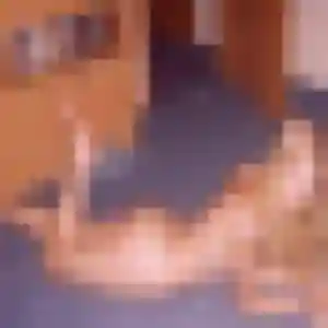 Photo privée de Wanda, 29 ans à Buchères - rencontre coquine