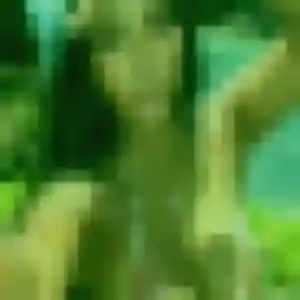 Sexy Elena, 43 ans à Bugeat - voir sa photo