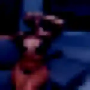 Lena, 24 ans, disponible à Bully-les-Mines pour une rencontre coquine