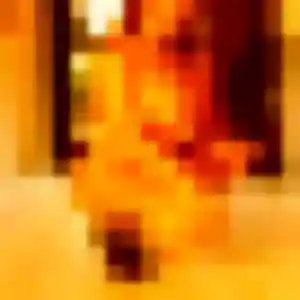 Honorine, 27 ans, cherche un plan cul à Burgnac