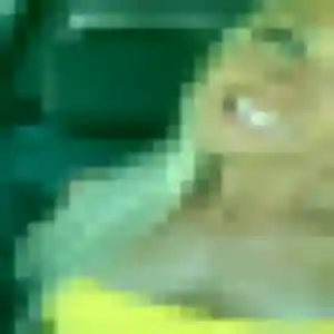 Amandine (40 ans) à Buysscheure attend une rencontre ce soir