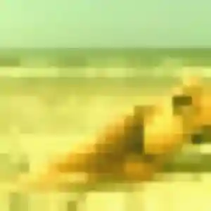Photo perso de Roxane, 41 ans à Byans-sur-Doubs - rencontre coquine