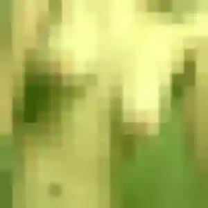 Photo de Lison à Campénéac (30 ans) - plan cul anonyme