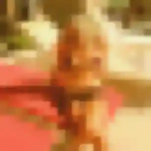 Pascale, 26 ans, disponible à Candresse pour une rencontre coquine